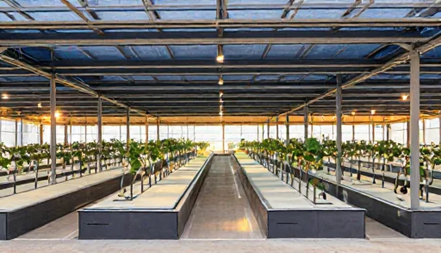 电子产品全流程跟进中的场景适配与优化